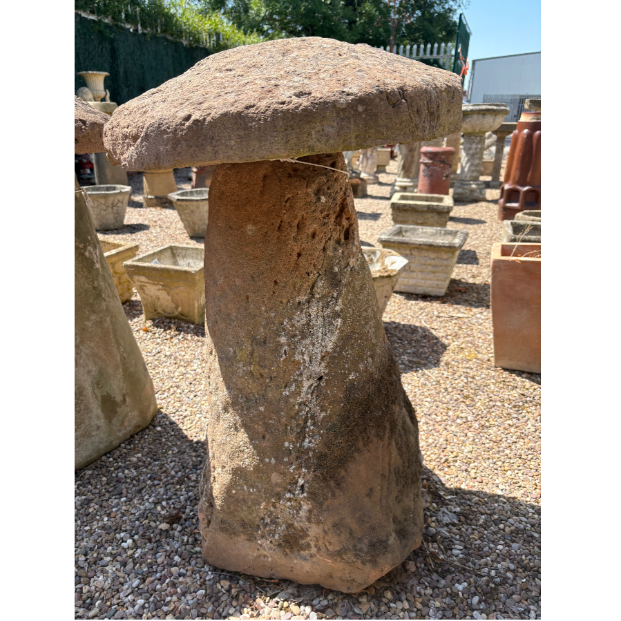 Staddle Stone - VIN599T
