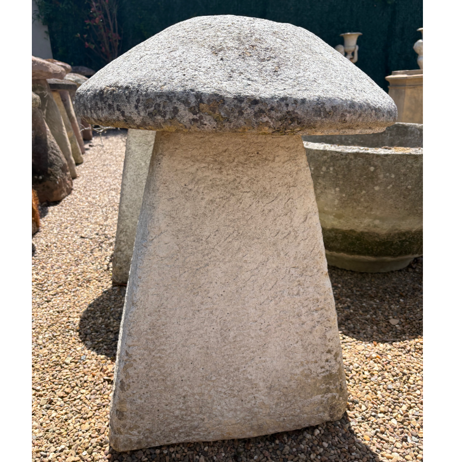 Old Staddle Stone - VIN961Y1