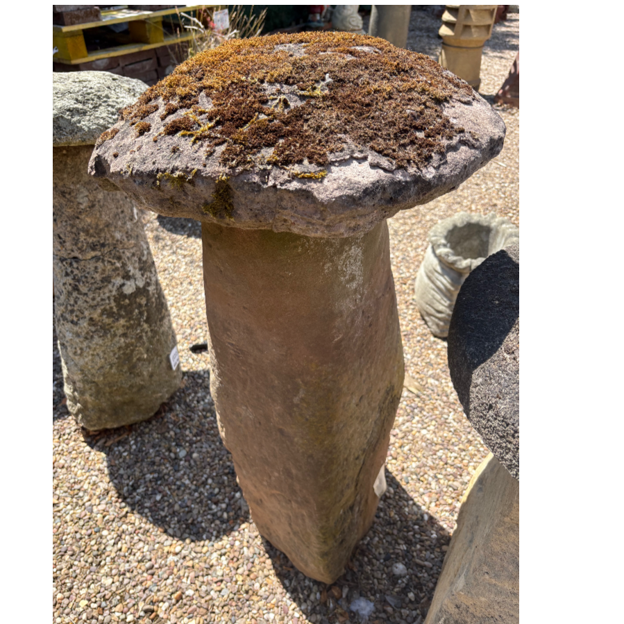 Old Staddle Stone - VIN599P