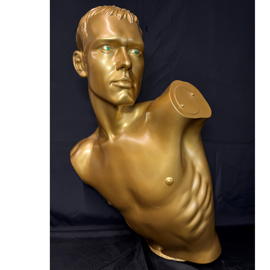 Vintage Gold Upper Torso Male Mannequin - VIN1189M