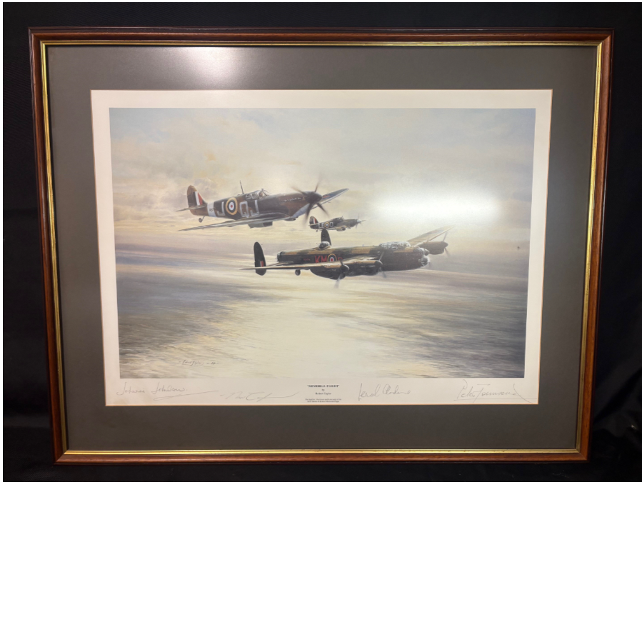 Special Edition 'Memorial Flight' by Robert Taylor - VIN1223P