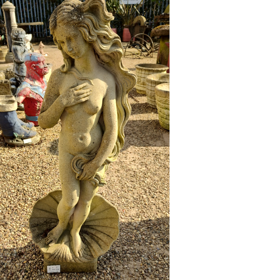 Bathing Lady Standing in Shell Statue - VIN1225J