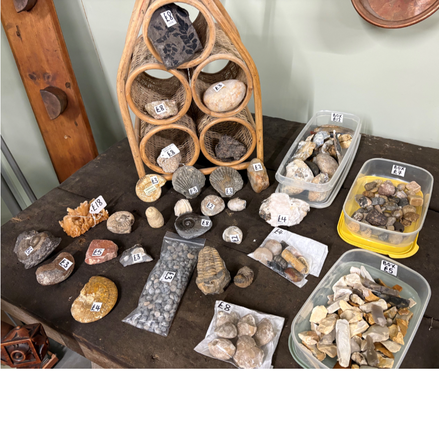 Stones / Fossils - Individually Priced. Stones / Fossils - Individually Priced.
