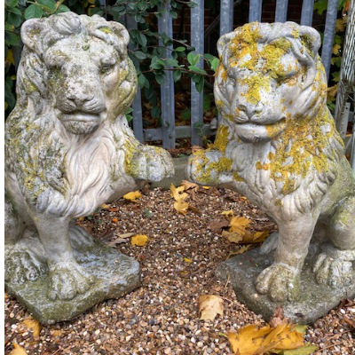 Pair of Ornamental Stone Sitting Lions  VIN479C