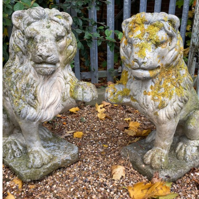 Pair of Ornamental Stone Sitting Lions VIN479C