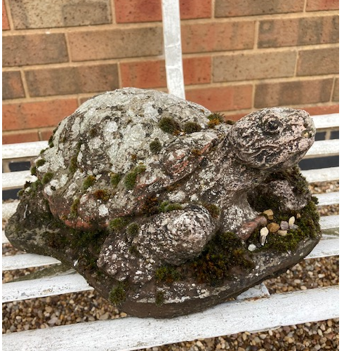 Large Stone Turtle VIN481E