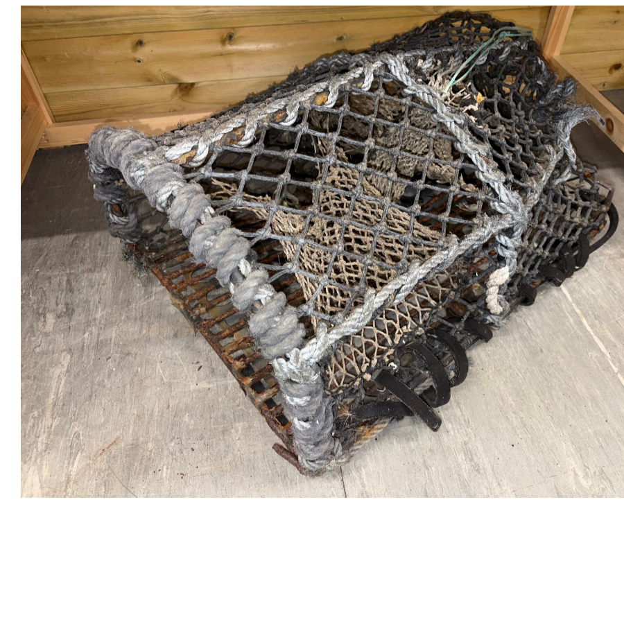 Old Lobster Cage - VIN1299P Old Lobster Cage - VIN1299P