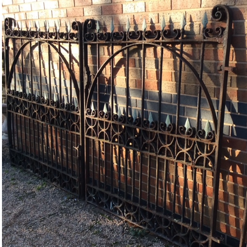 Antique Wrought Iron Gates VIN502E