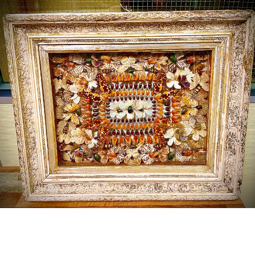 Antique 19th century unique framed collection of insects VIN525P