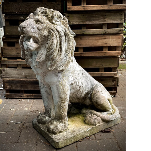 Old reconstituted stone lion VIN549D