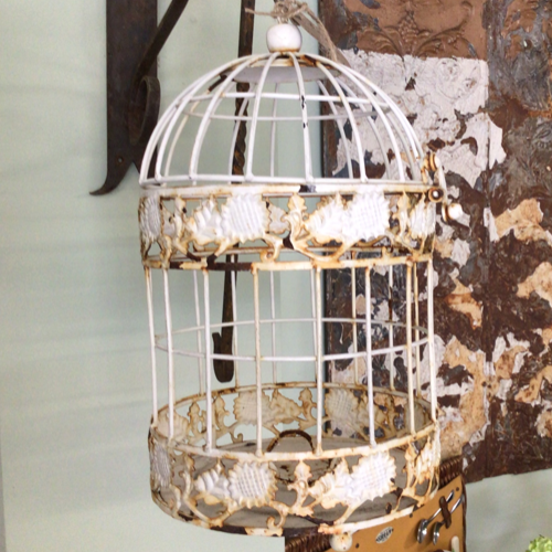 Bird cage VIN597D
